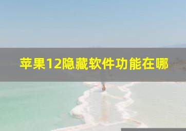 苹果12隐藏软件功能在哪