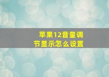 苹果12音量调节显示怎么设置