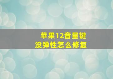 苹果12音量键没弹性怎么修复