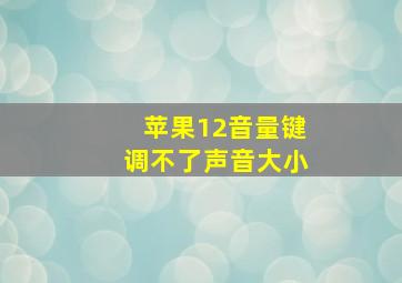 苹果12音量键调不了声音大小