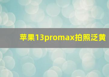 苹果13promax拍照泛黄