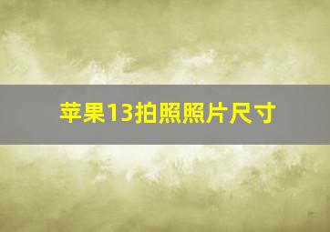 苹果13拍照照片尺寸