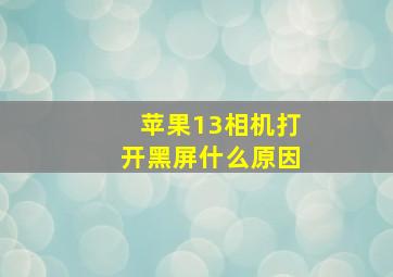 苹果13相机打开黑屏什么原因