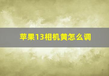 苹果13相机黄怎么调