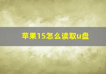 苹果15怎么读取u盘