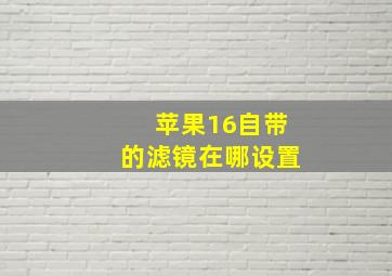 苹果16自带的滤镜在哪设置