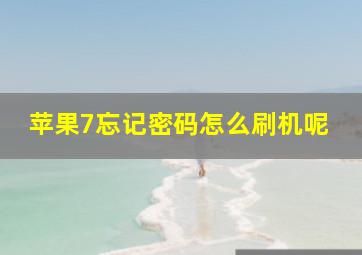 苹果7忘记密码怎么刷机呢