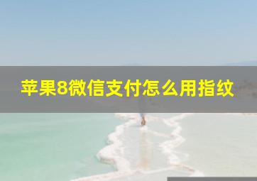 苹果8微信支付怎么用指纹