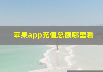 苹果app充值总额哪里看