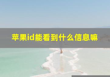 苹果id能看到什么信息嘛