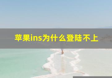 苹果ins为什么登陆不上