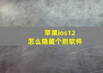 苹果ios12怎么隐藏个别软件