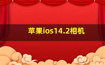 苹果ios14.2相机