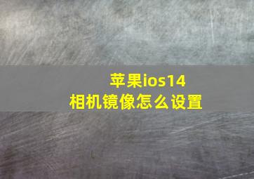 苹果ios14相机镜像怎么设置