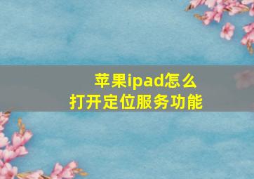 苹果ipad怎么打开定位服务功能