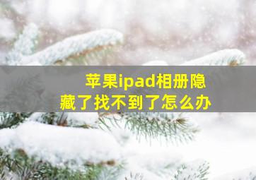 苹果ipad相册隐藏了找不到了怎么办