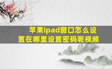 苹果ipad窗口怎么设置在哪里设置密码呢视频