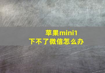 苹果mini1下不了微信怎么办