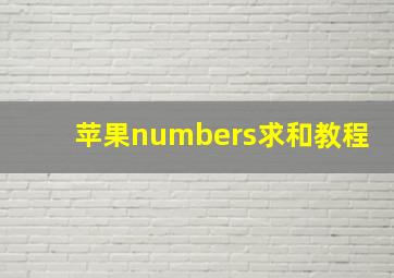 苹果numbers求和教程