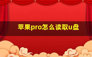 苹果pro怎么读取u盘