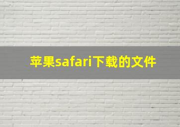 苹果safari下载的文件