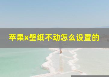 苹果x壁纸不动怎么设置的