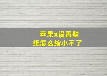 苹果x设置壁纸怎么缩小不了