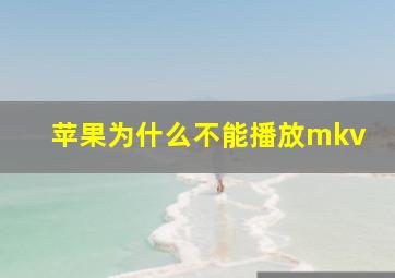 苹果为什么不能播放mkv