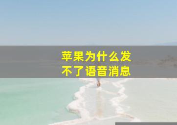 苹果为什么发不了语音消息