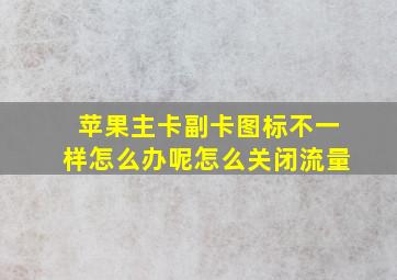 苹果主卡副卡图标不一样怎么办呢怎么关闭流量