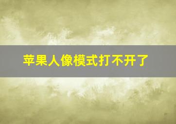 苹果人像模式打不开了