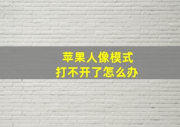 苹果人像模式打不开了怎么办