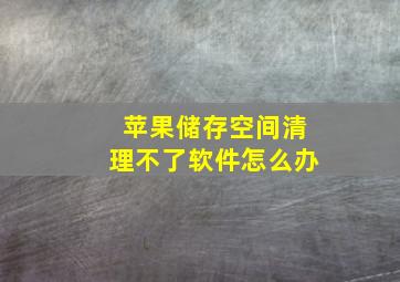 苹果储存空间清理不了软件怎么办