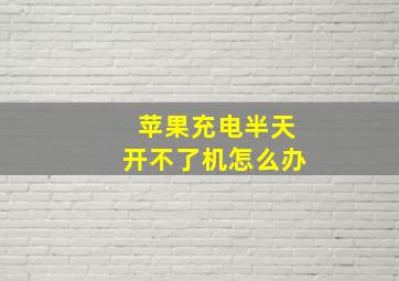 苹果充电半天开不了机怎么办