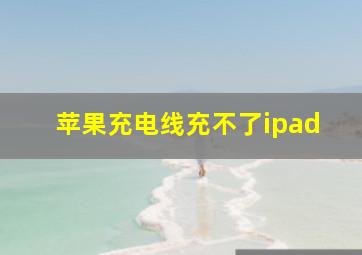 苹果充电线充不了ipad