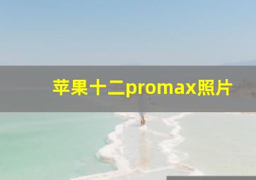 苹果十二promax照片