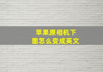 苹果原相机下面怎么变成英文