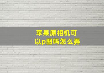 苹果原相机可以p图吗怎么弄