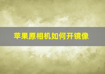 苹果原相机如何开镜像