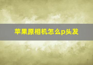 苹果原相机怎么p头发