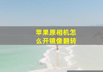 苹果原相机怎么开镜像翻转