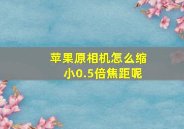 苹果原相机怎么缩小0.5倍焦距呢