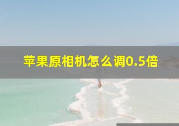 苹果原相机怎么调0.5倍