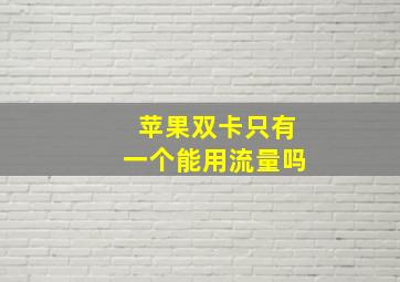 苹果双卡只有一个能用流量吗