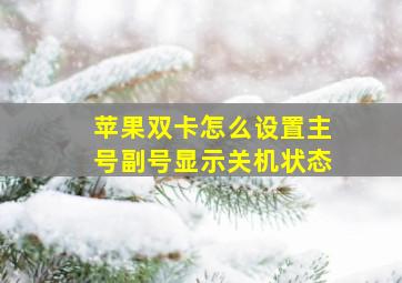 苹果双卡怎么设置主号副号显示关机状态