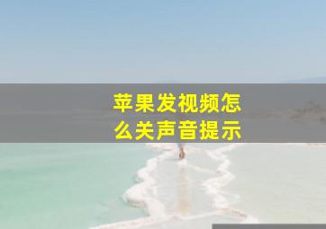 苹果发视频怎么关声音提示