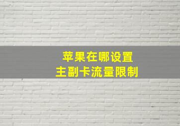 苹果在哪设置主副卡流量限制