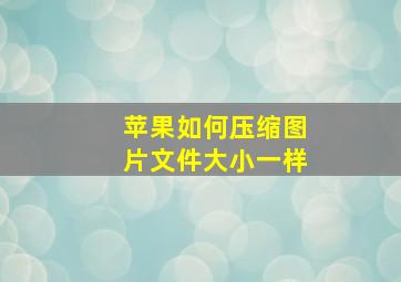 苹果如何压缩图片文件大小一样