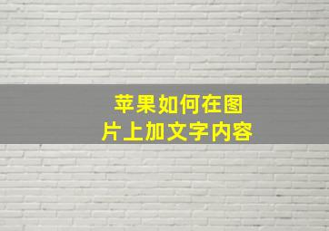 苹果如何在图片上加文字内容