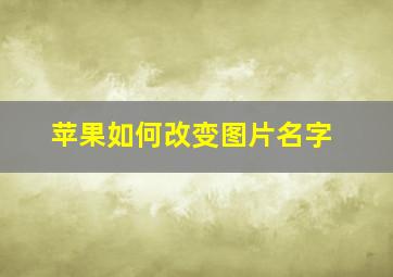 苹果如何改变图片名字